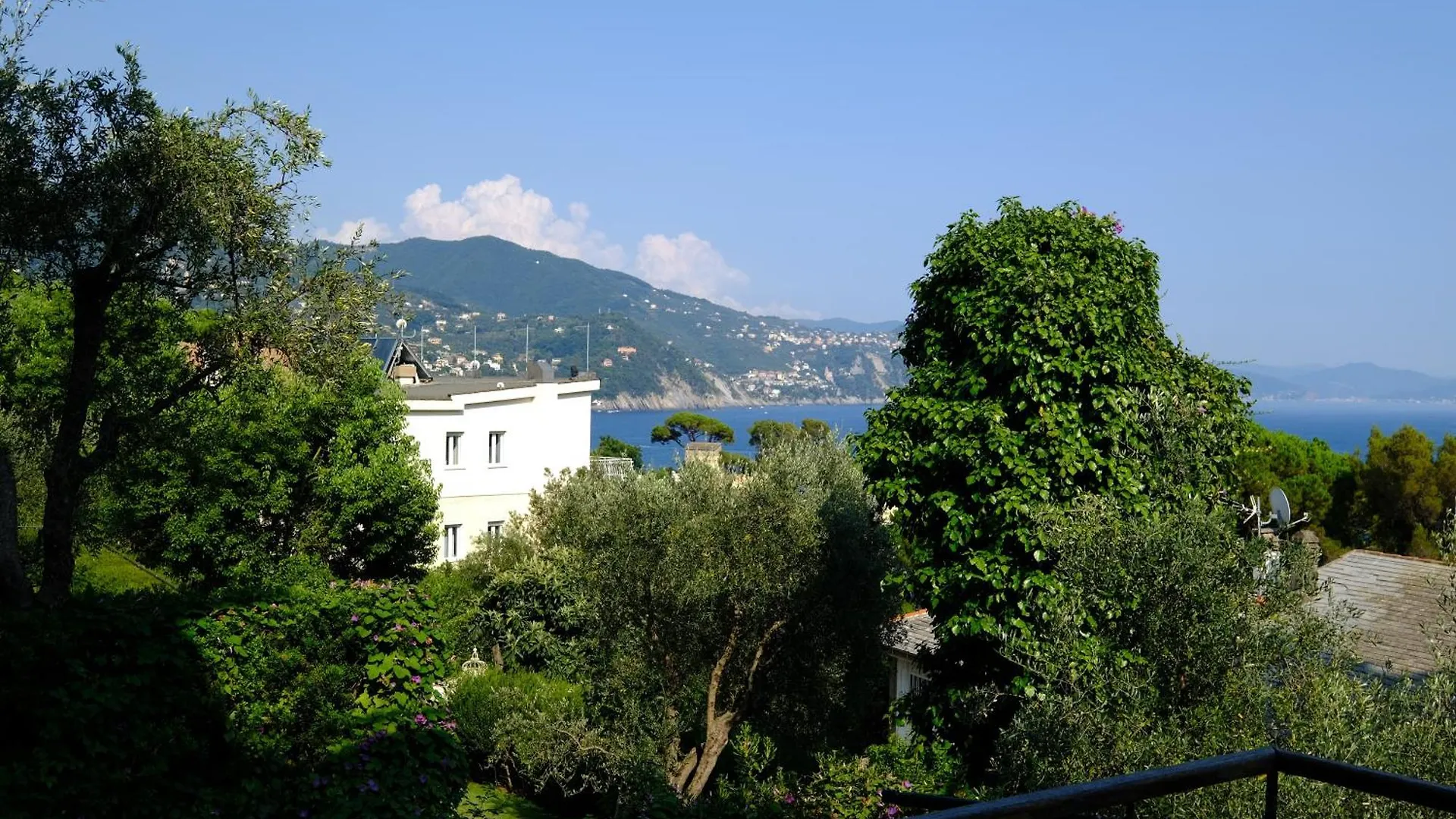 La Pergola 14 By Portofinovacanze Rapallo